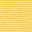 Canvas Buttercup
