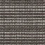 Canvas Coal